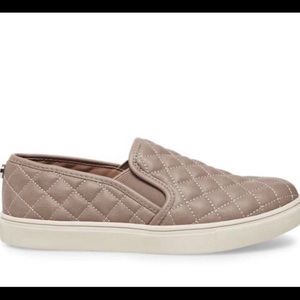 Steve Madden Ecentrcq Slip on Shoes